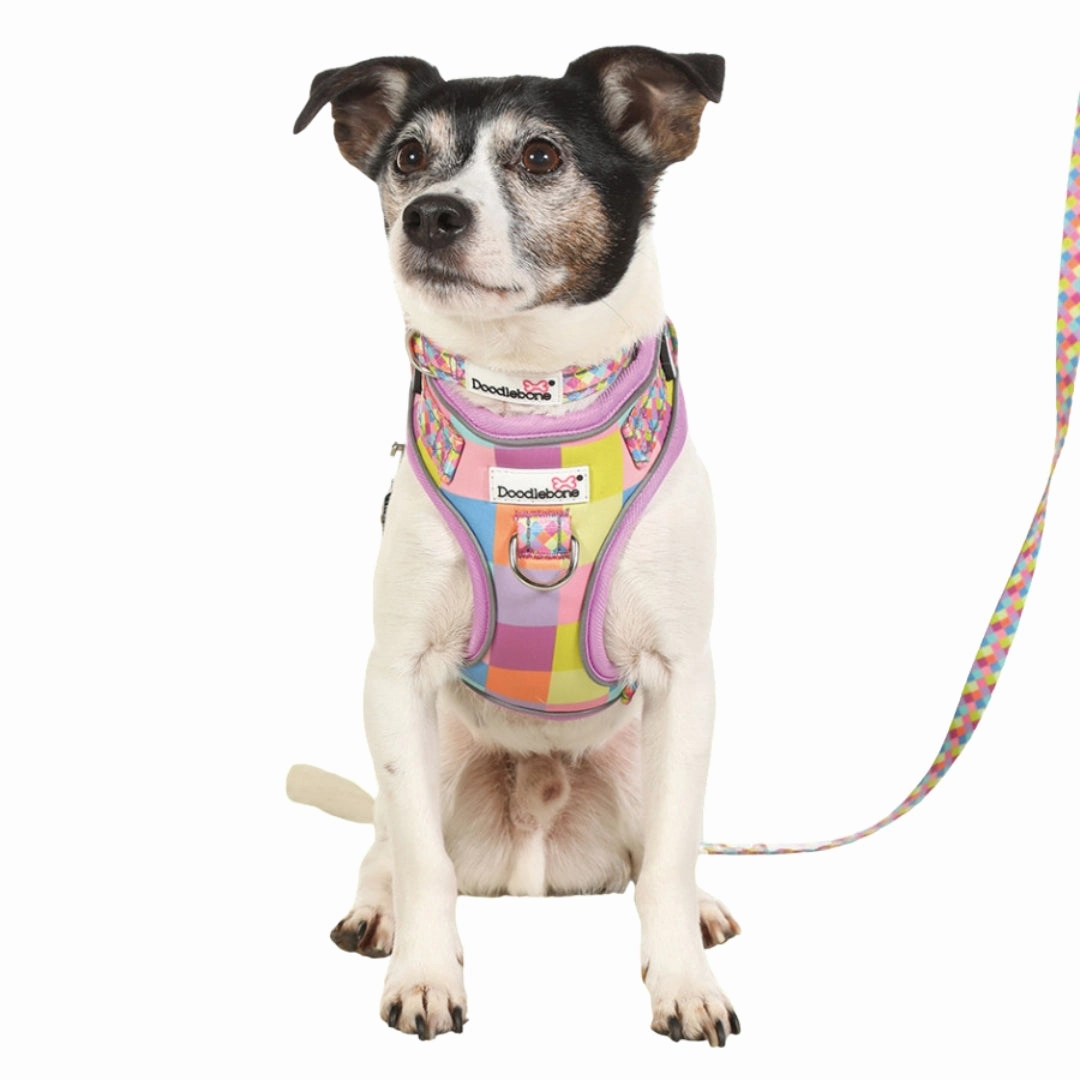 Doodlebone Adjustable Airmesh Dog Harness - Retro