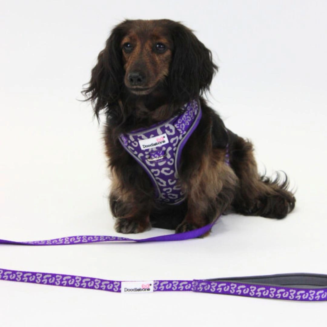 Doodlebone Adjustable Airmesh Dog Harness - Violet Leopard Reflective