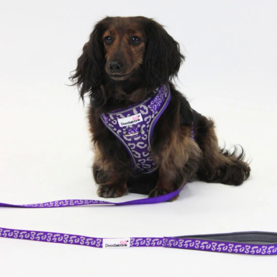 Doodlebone Adjustable Airmesh Dog Harness - Violet Leopard Reflective
