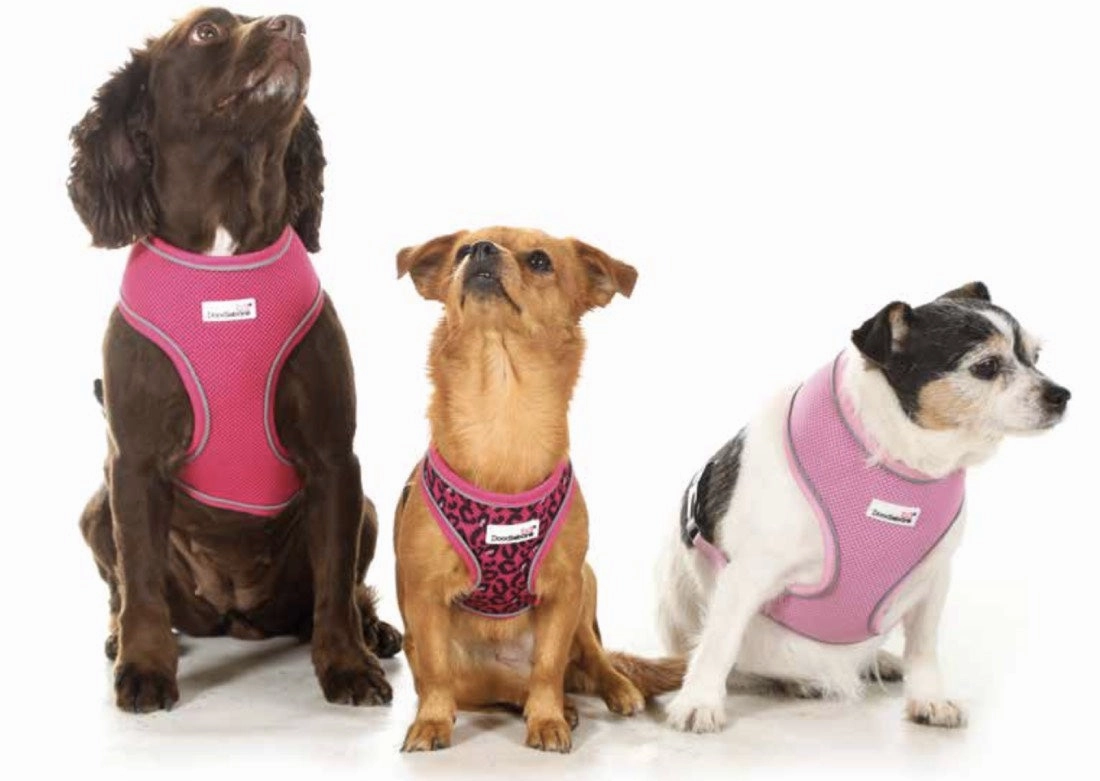 Doodlebone Airmesh Dog Harness - Black Coal