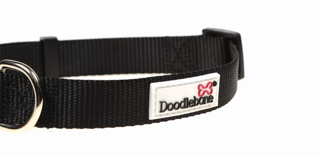 Doodlebone Black Coal Dog Collar