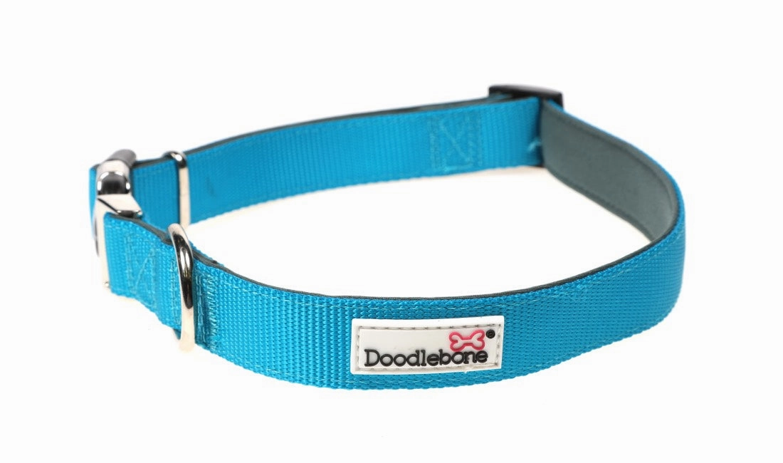 Doodlebone Padded Dog Collar - Aqua