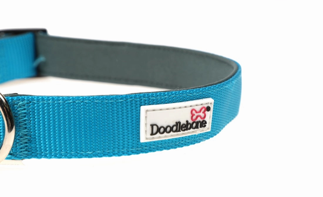 Doodlebone Padded Dog Collar - Aqua