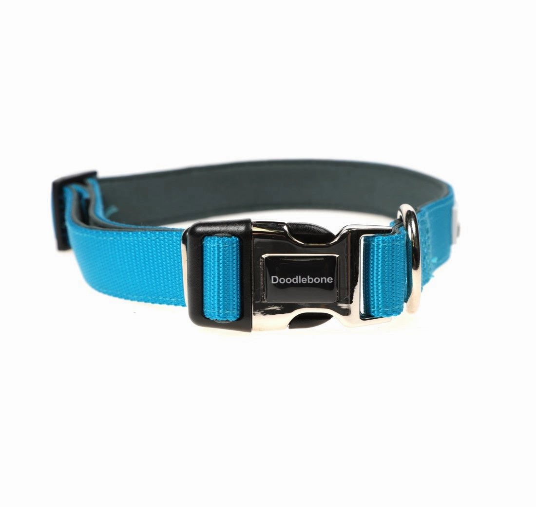 Doodlebone Padded Dog Collar - Aqua