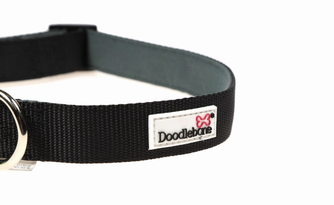 Doodlebone Padded Dog Collar - Black Coal