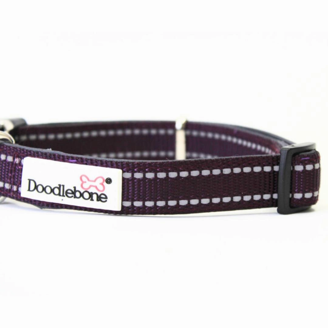 Doodlebone Padded Dog Collar - Burgundy