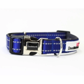 Doodlebone Padded Dog Collar - Cobalt