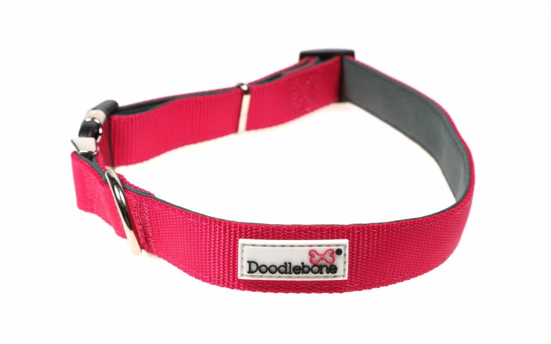 Doodlebone Padded Dog Collar - Fuchsia Pink