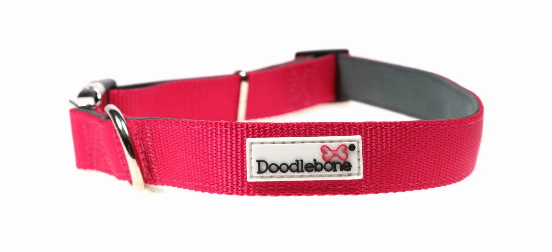 Doodlebone Padded Dog Collar - Fuchsia Pink