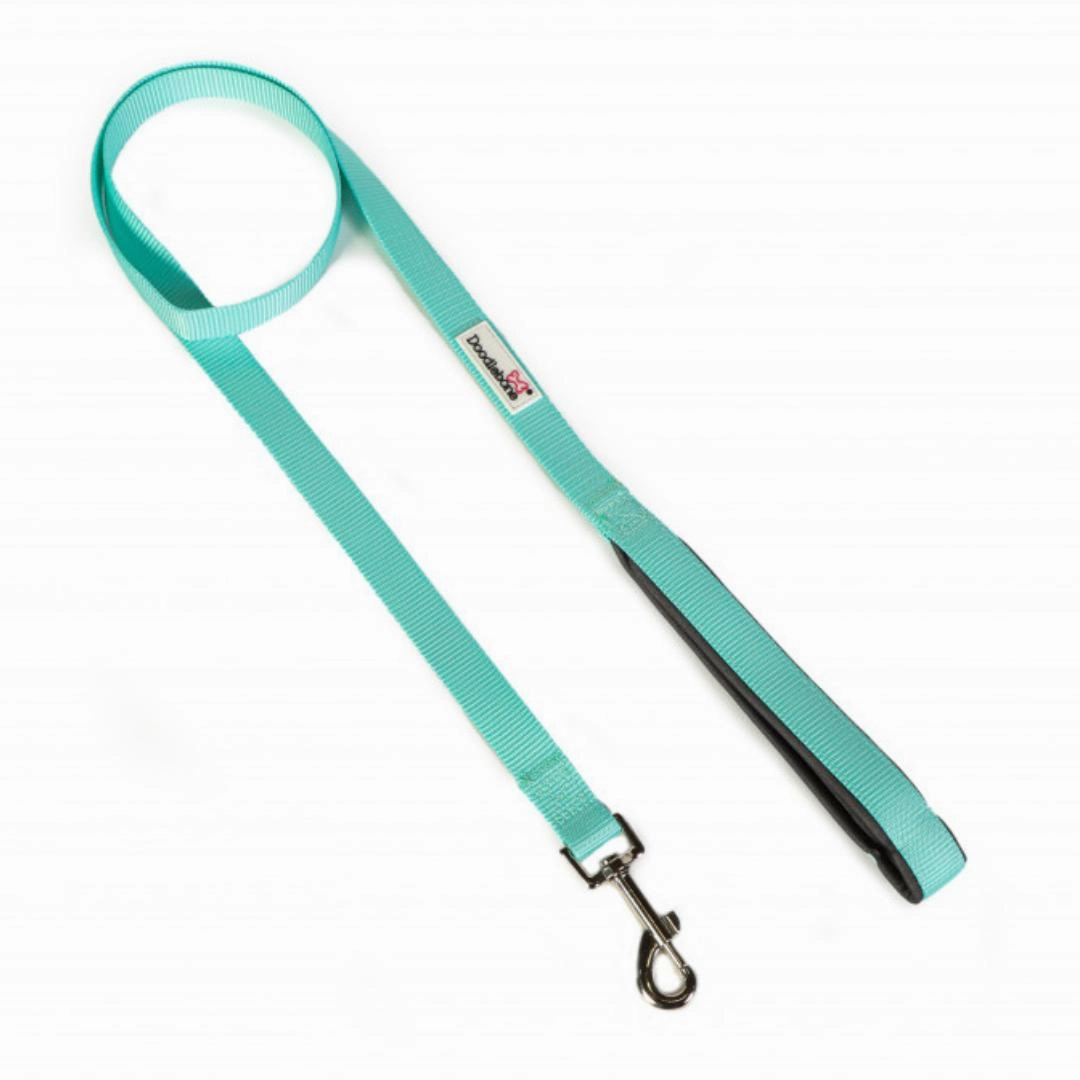 Doodlebone Padded Dog Collar - Mint