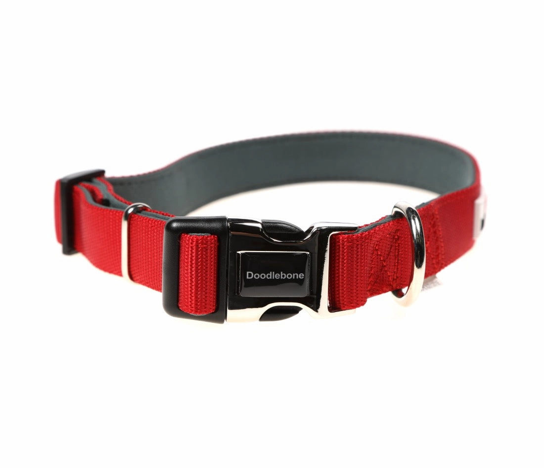 Doodlebone Padded Dog Collar - Ruby Red