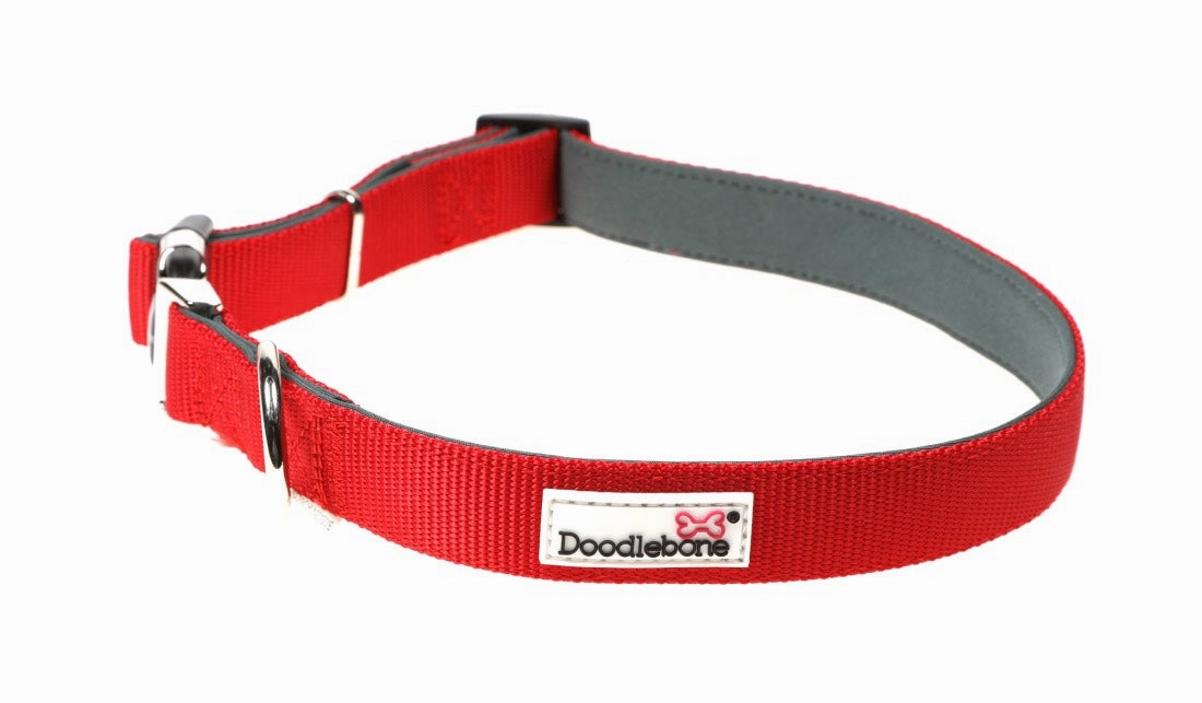 Doodlebone Padded Dog Collar - Ruby Red