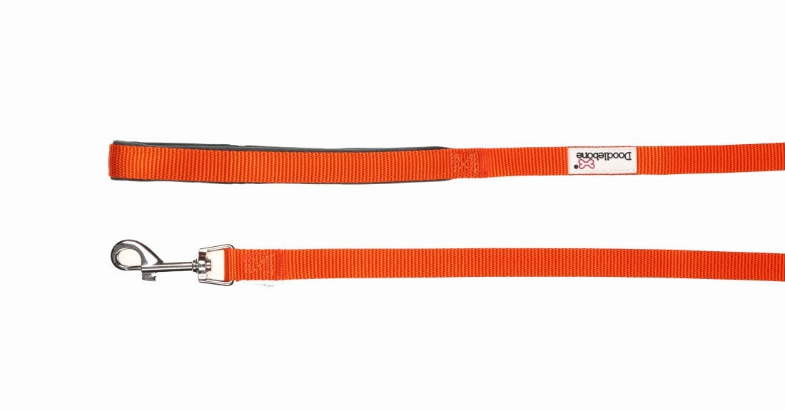 Doodlebone Padded Dog Collar - Tangerine Orange