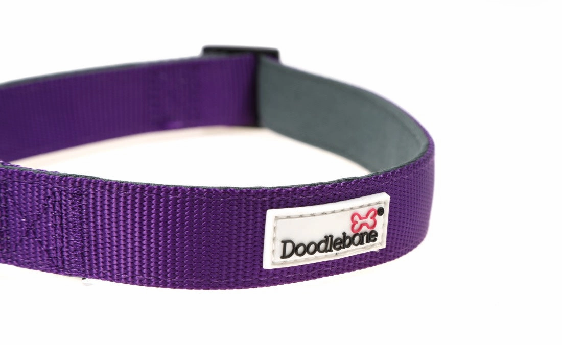 Doodlebone Padded Dog Collar - Violet Purple