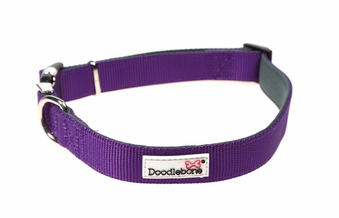 Doodlebone Padded Dog Collar - Violet Purple
