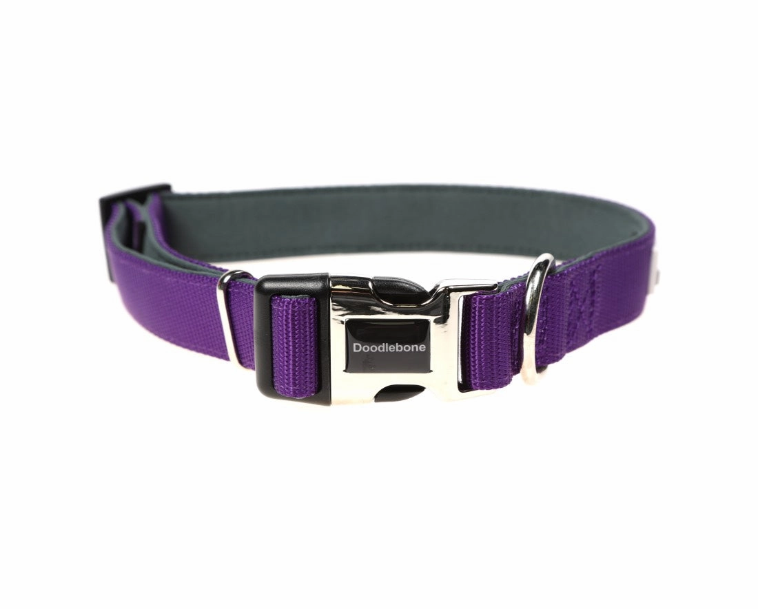 Doodlebone Padded Dog Collar - Violet Purple