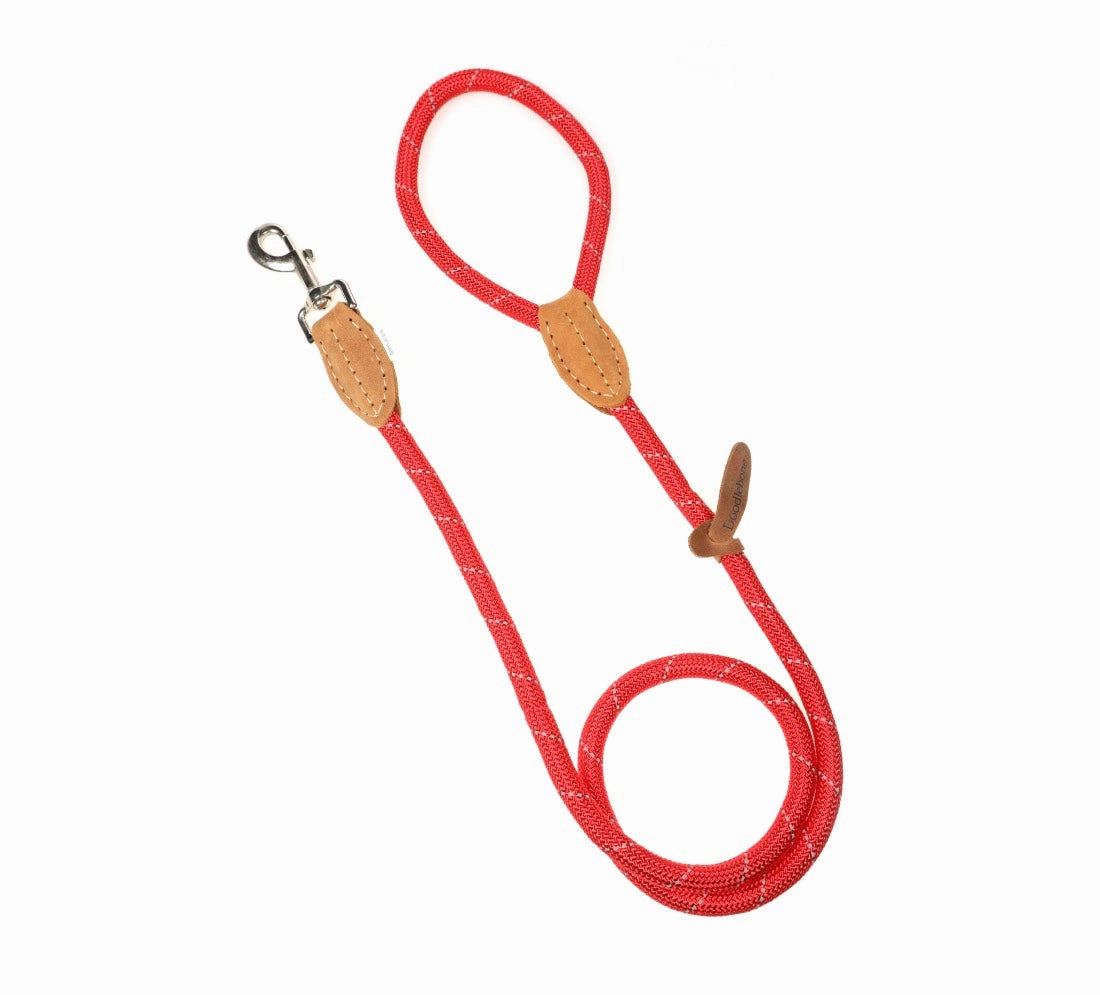 Doodlebone Snappy Step In Dog Harness - Ruby Red