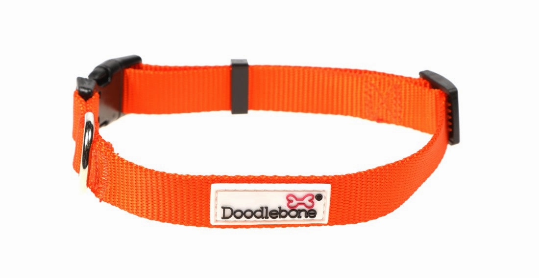 Doodlebone Tangerine Orange Dog Collar