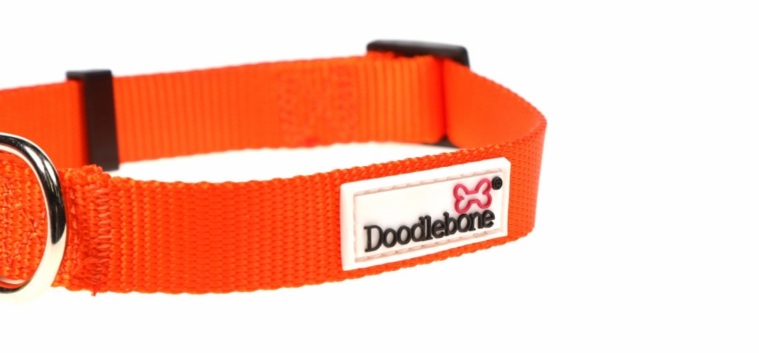 Doodlebone Tangerine Orange Dog Collar