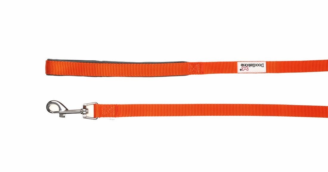 Doodlebone Tangerine Orange Dog Collar