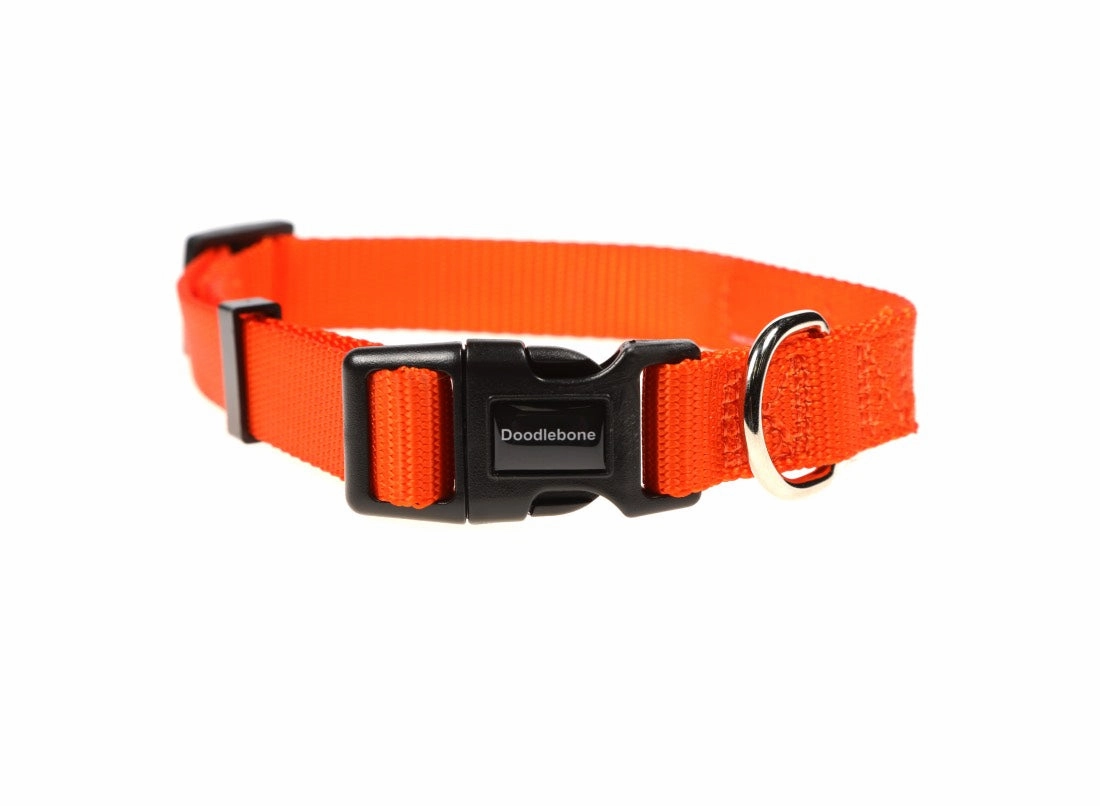 Doodlebone Tangerine Orange Dog Collar