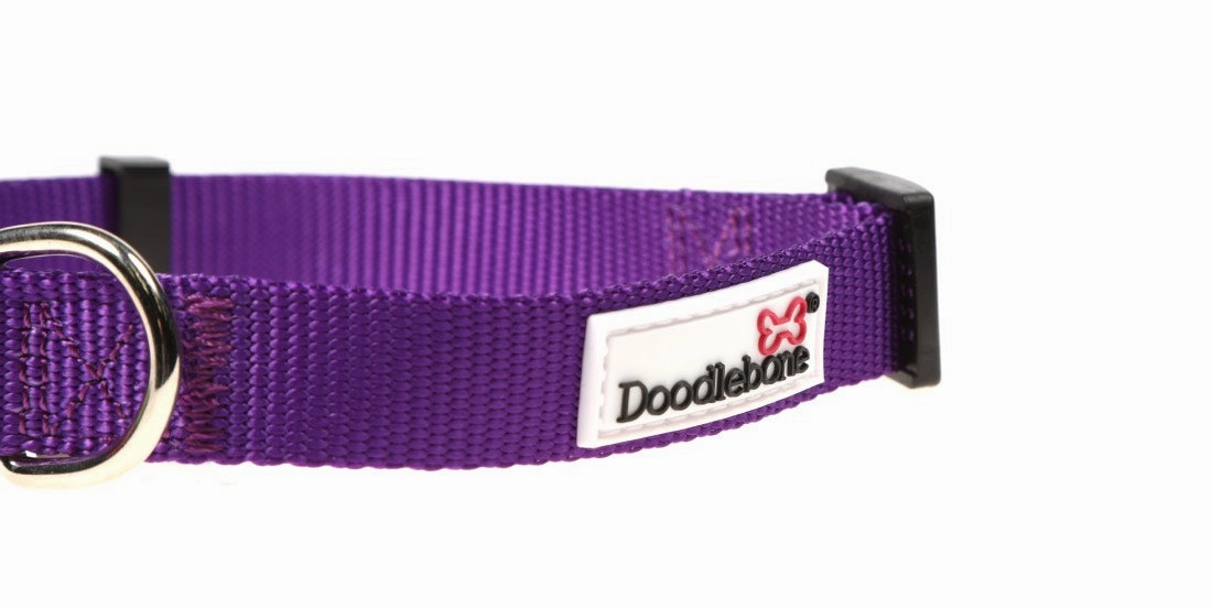 Doodlebone Violet Purple Dog Collar