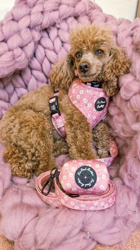 Dusky Pink Daisies Dog Harness