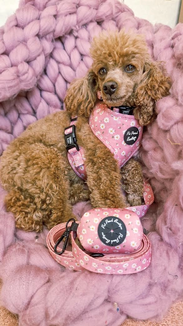 Dusky Pink Daisies Dog Harness