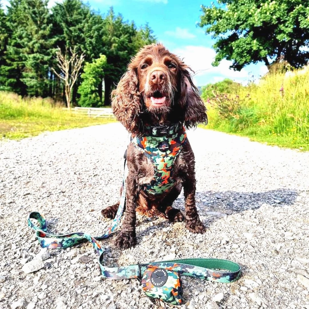 Earth Friendly Trekker Dog Harness Citrus Army Camo