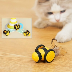 Electric Cat Toy Car