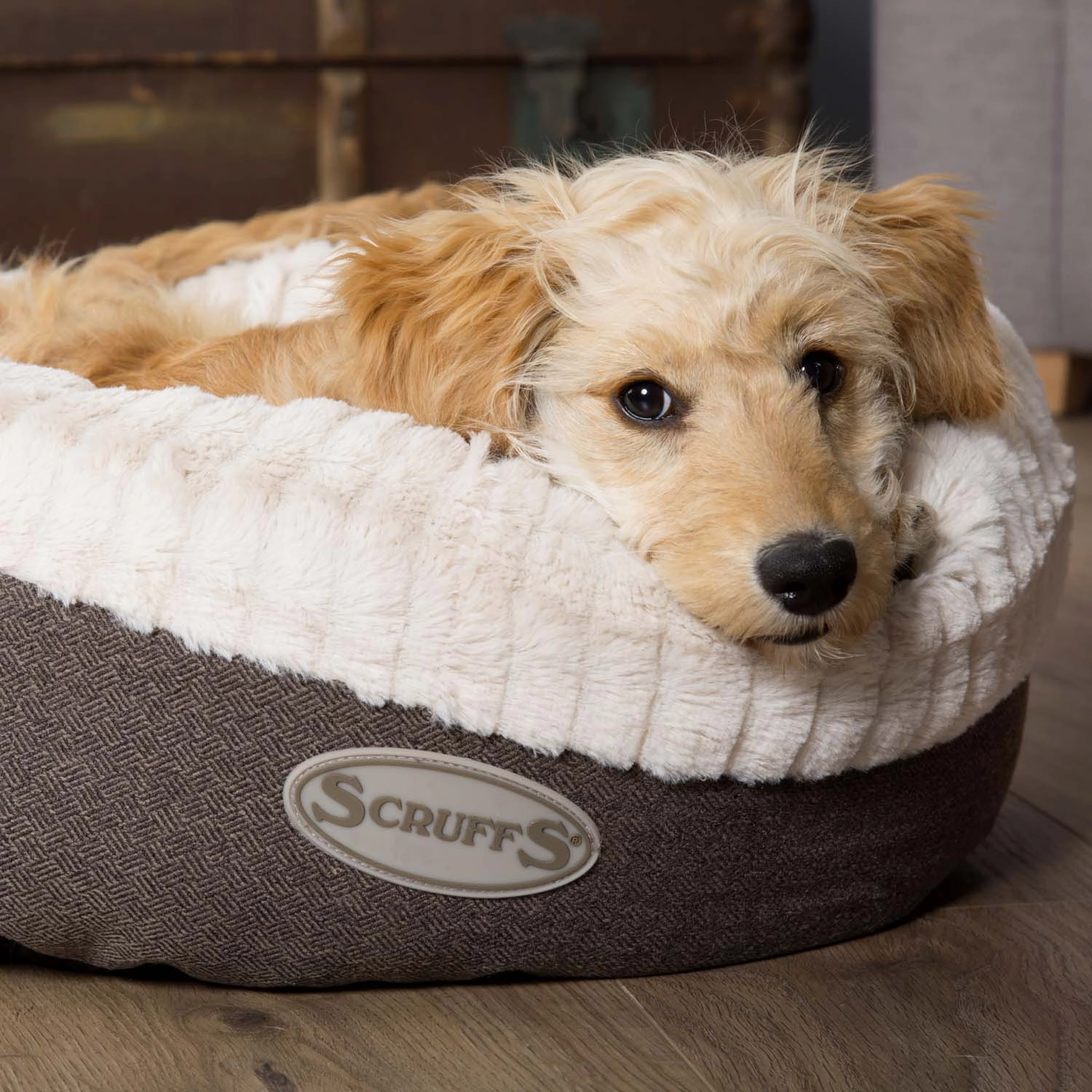Ellen Donut Dog Bed Grey