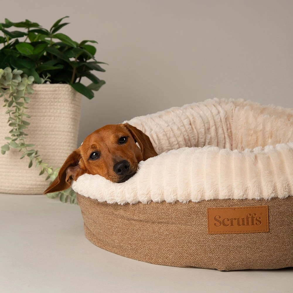 Ellen Donut Dog Bed Tan