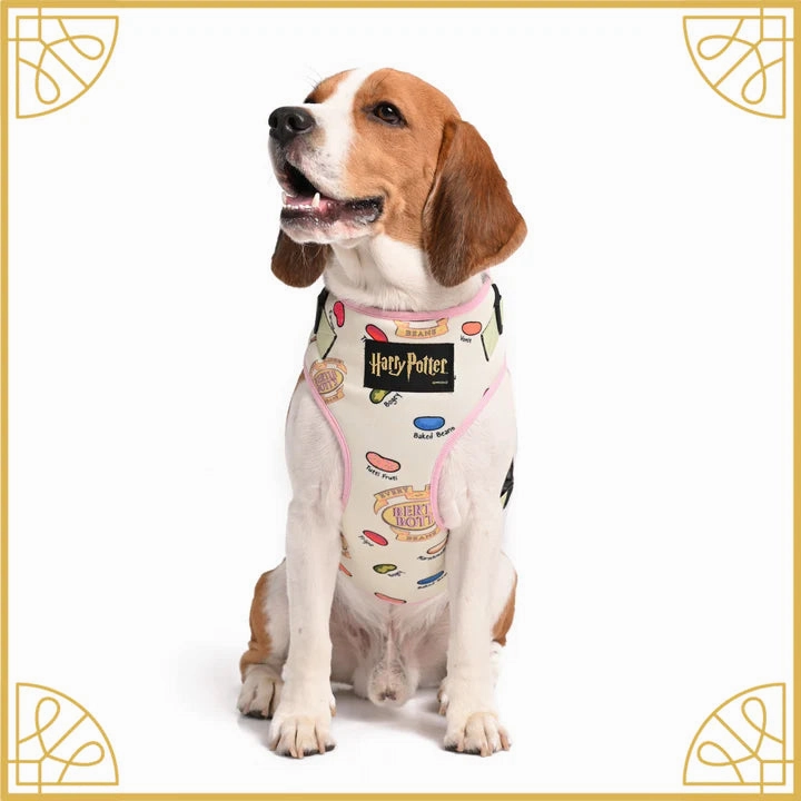 Every Flavour Bean Dog Harness