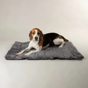 Expedition Water Resistant Roll Up Travel Pet Bed - Storm Grey