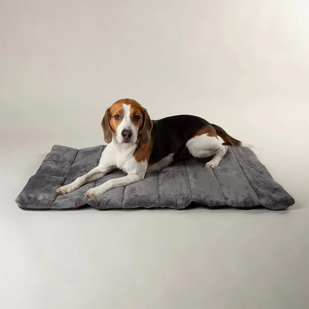 Expedition Water Resistant Roll Up Travel Pet Bed - Storm Grey