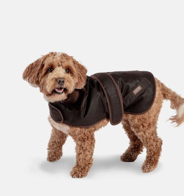 FatFace Sussex Dog Coat by Danish Design