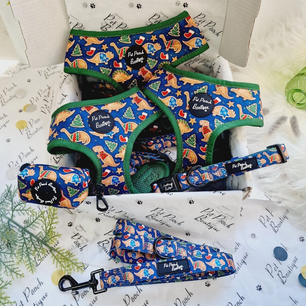 Festive Dino Rawr Biscuits Dog Collar