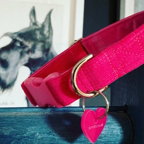 Flamingo Pink Corduroy Dog Collar