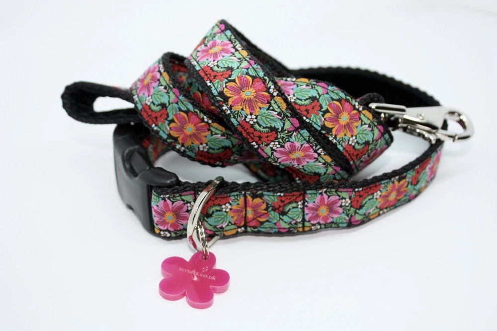 Frida K Dog Collar And Lead Set