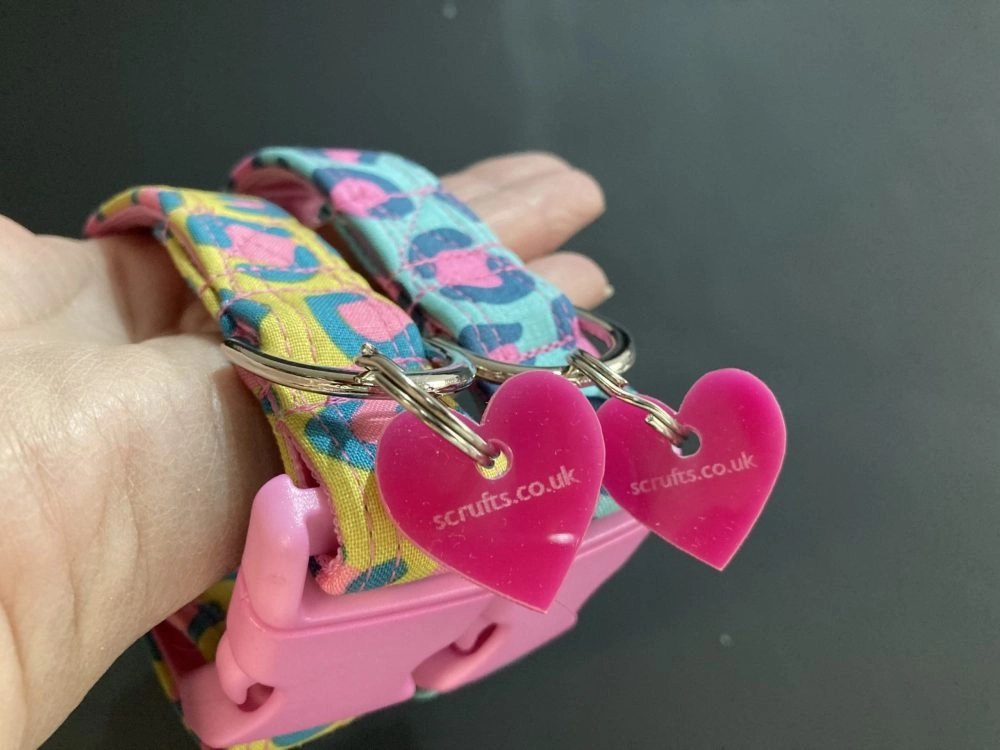 Funky Leopard Print Dog Collar