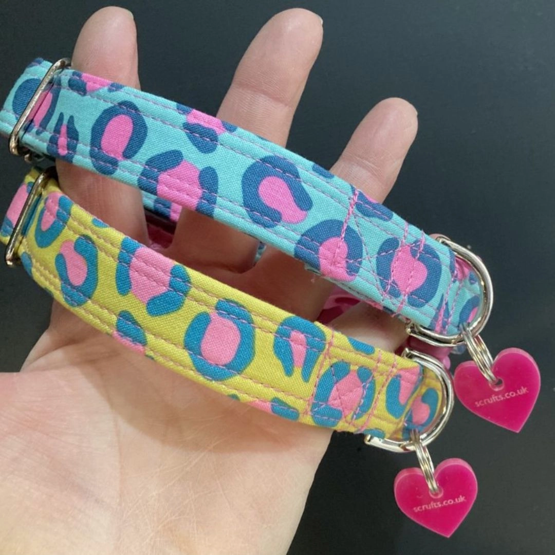 Funky Leopard Print Dog Collar