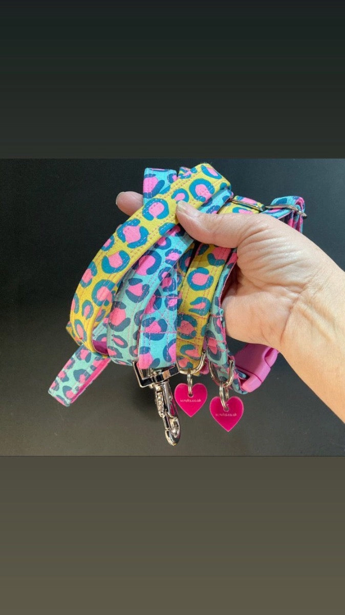 Funky Leopard Print Dog Collar
