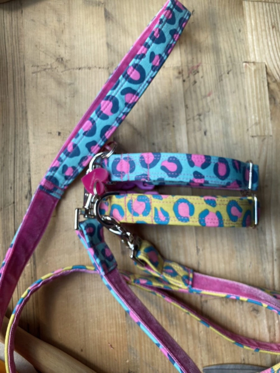Funky Leopard Print Dog Collar