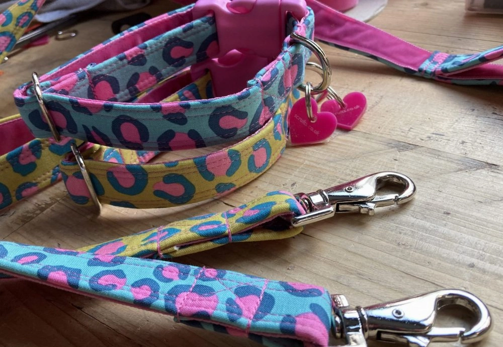 Funky Leopard Print Dog Collar
