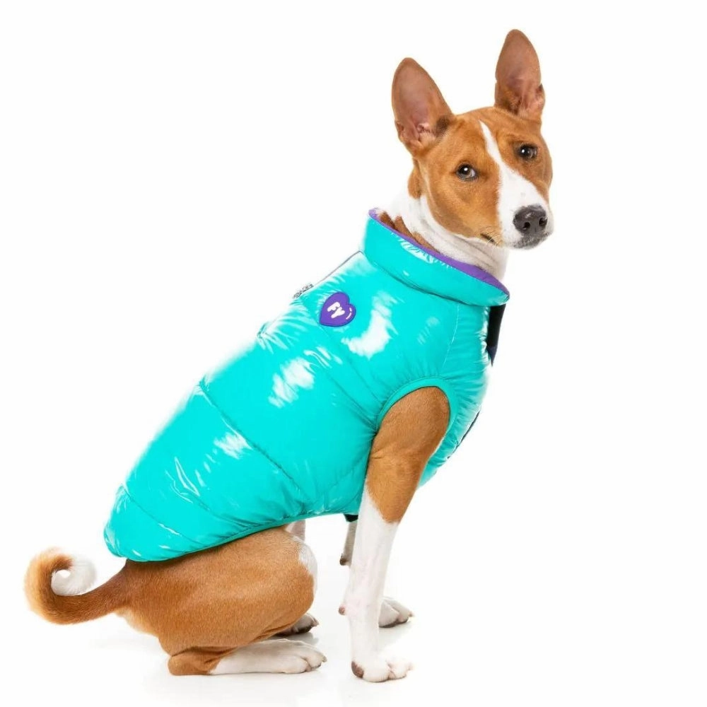 FuzzYard Amor Puffer Dog Jacket - Turquoise