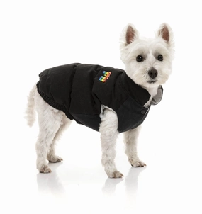 FuzzYard Ashbury Dog Jacket - Black