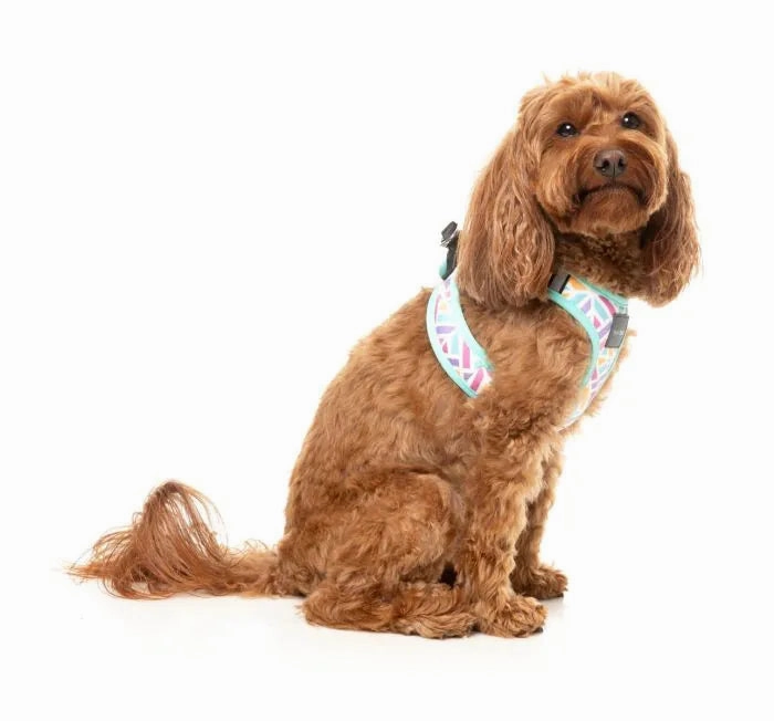 FuzzYard Bubblegum Burst Step?In Dog Harness