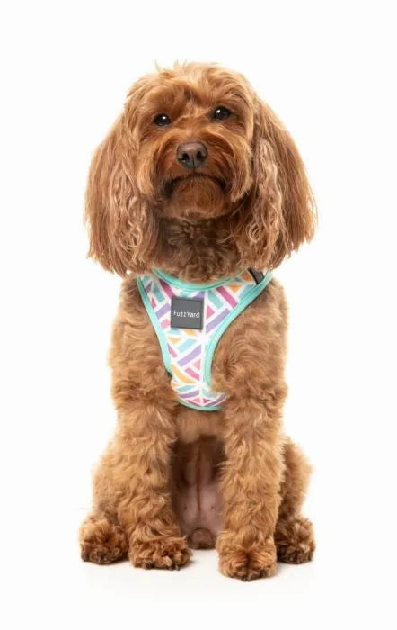 FuzzYard Bubblegum Burst Step?In Dog Harness