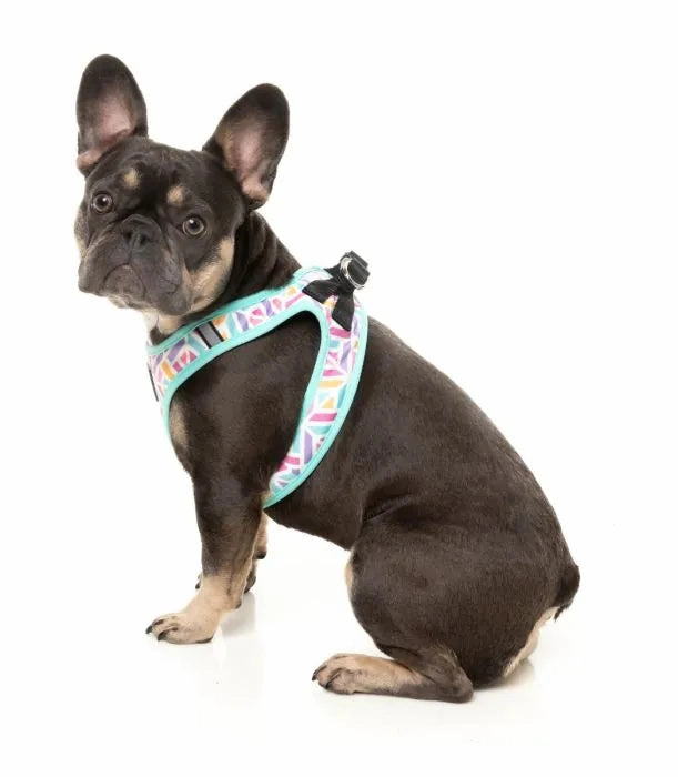 FuzzYard Bubblegum Burst Step?In Dog Harness