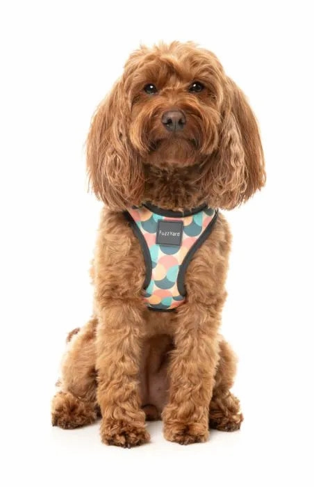 FuzzYard Carioca Step?In Dog Harness